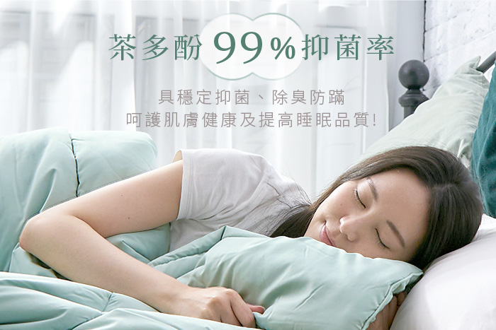 IDÉE LIVING 伊德生活|四季恆溫 可水洗抑菌 茶眠被 (超值雙入組)