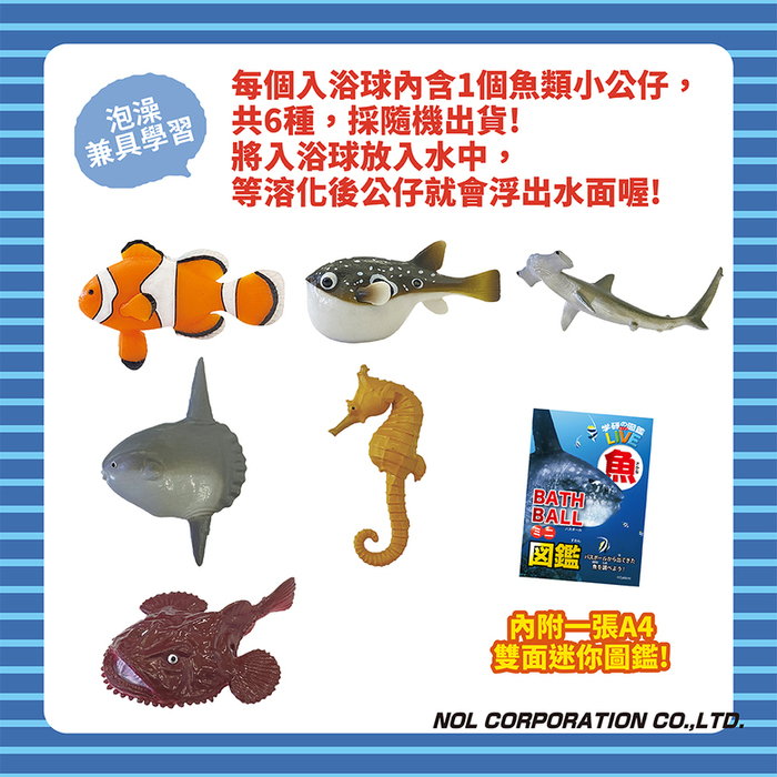 (複製)NOL|學研的圖鑑LIVE:甲蟲入浴球-BIG加大版(採隨機出貨)